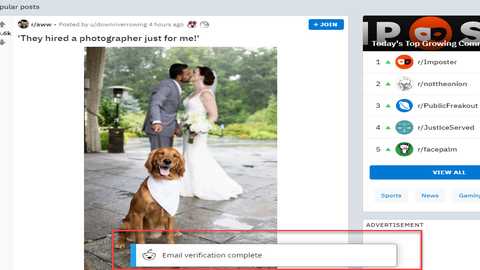 1738810754926631.jpg 142741_78067987.jpg