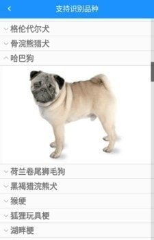 万能拍照识别(狗狗品种识别)