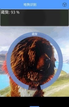 万能拍照识别(狗狗品种识别)