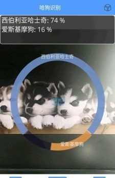 万能拍照识别(狗狗品种识别)